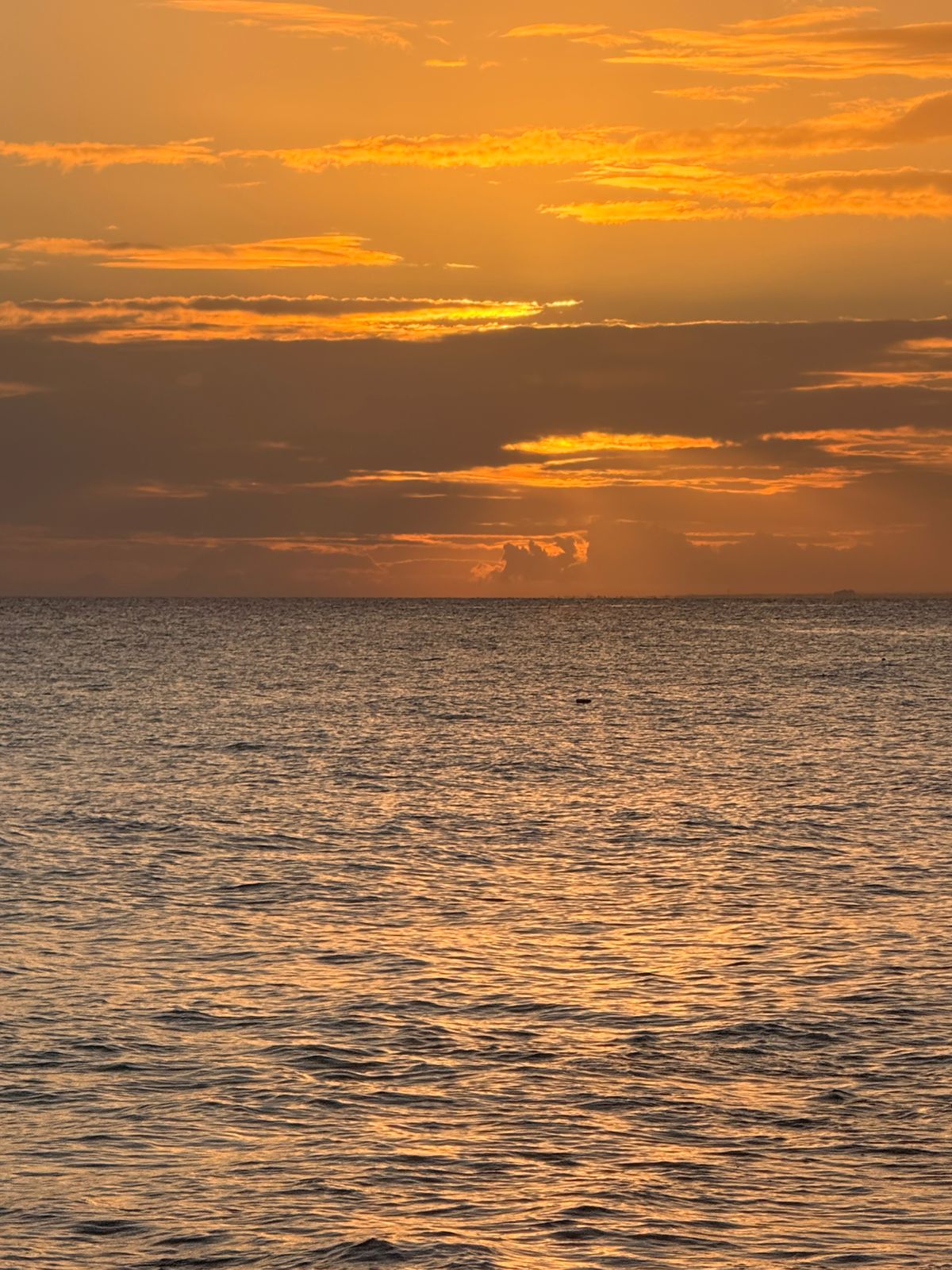 Galería UN RESTART  EN BAYAHIBE
